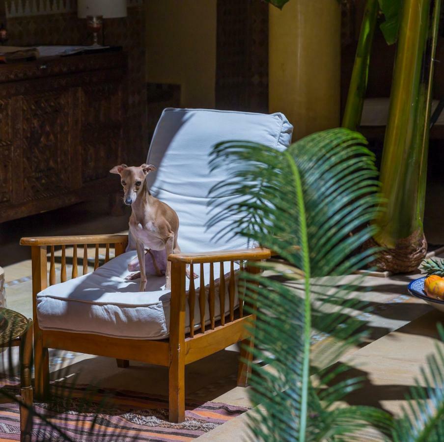 Riad Azoulay Marrakesh Esterno foto